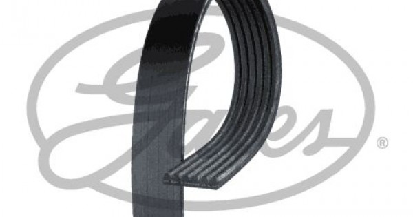 Ribbed V Belt Gates 6PK2245 | Real OEM Parts
