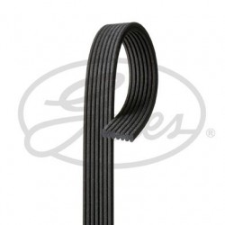 Ribbed V Belt Gates 7DPK1360 Ribbed V Belt Gates 7DPK1360