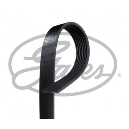 Ribbed V Belt Gates 8PK2465 Ribbed V Belt Gates 8PK2465